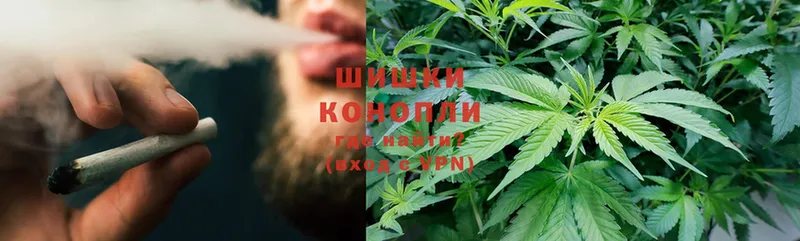 Каннабис White Widow  Нововоронеж 